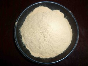 广东氨基酵母粉